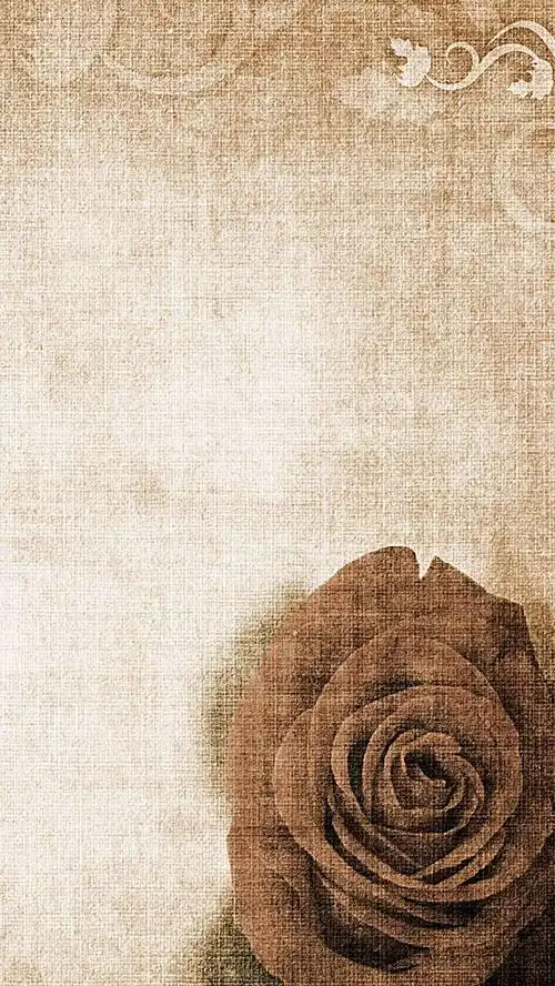 玫瑰花复古h5背景素材
