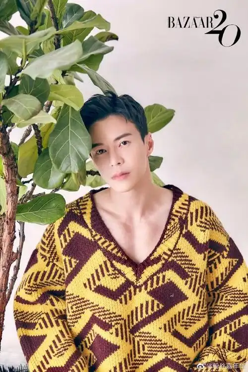 王冠逸初秋大片