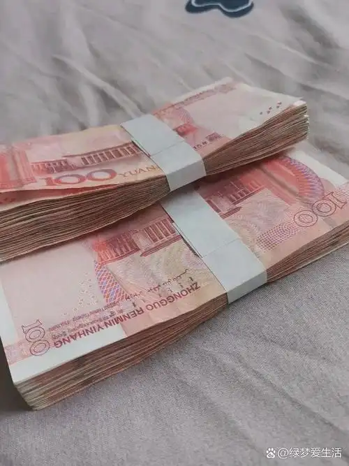 省吃俭用给我凑的这人民币,心里不禁感慨万千,这一张张的100元钞票,虽