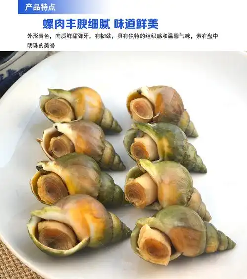 爱尔兰白螺500g一袋