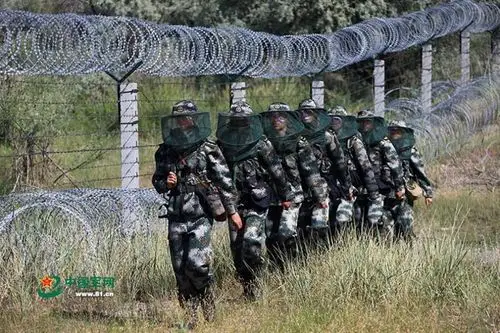 "蚊虫王国"巡逻兵:一掌拍死50多只蚊子