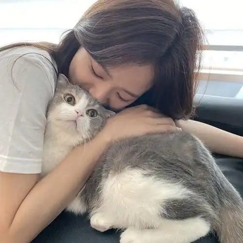 分享一些美女抱猫的头像