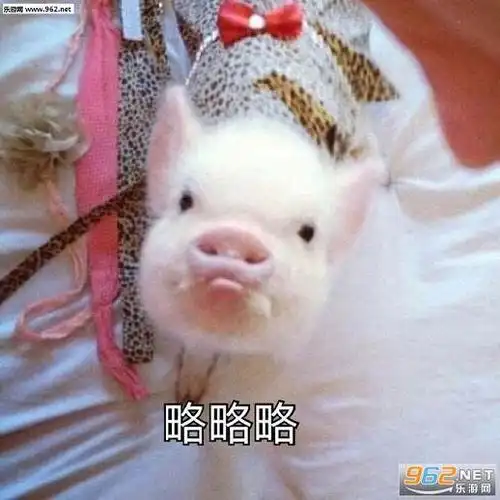 可爱猪猡表情包