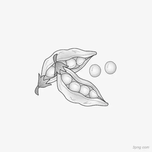 黄豆手绘画png素材透明免抠图片卡通手绘
