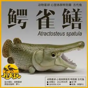 【鳄雀鳝】鳄雀鳝品牌,价格 - 阿里巴巴