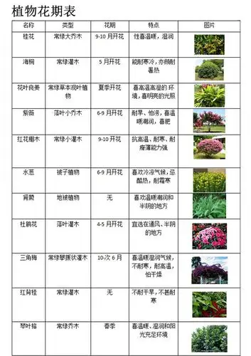 植物花期表-庭院设计第7张图片