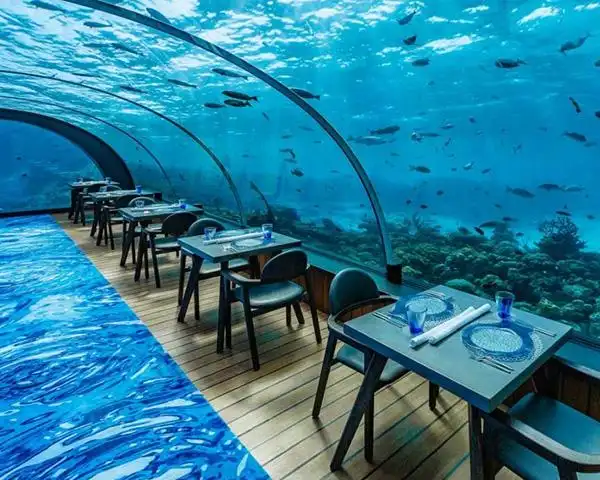 海底餐厅5-1.jpg