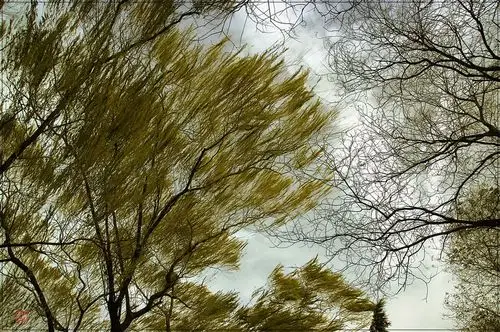 【纪实】遭遇狂风