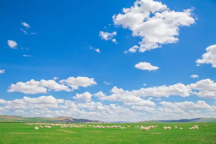 蒙古汗城门票:免费,但进入这里的寺庙参观需另收门票开放时间:全天