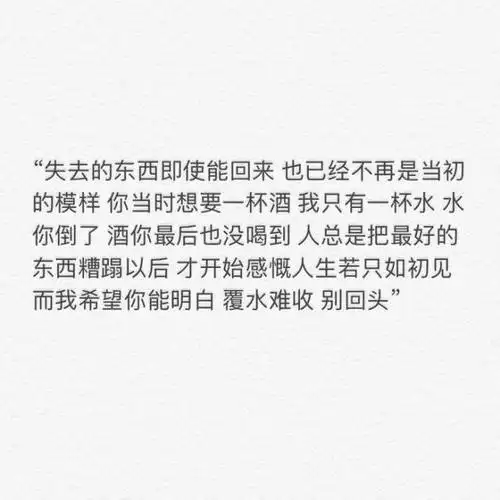 有一种爱,叫不打扰.