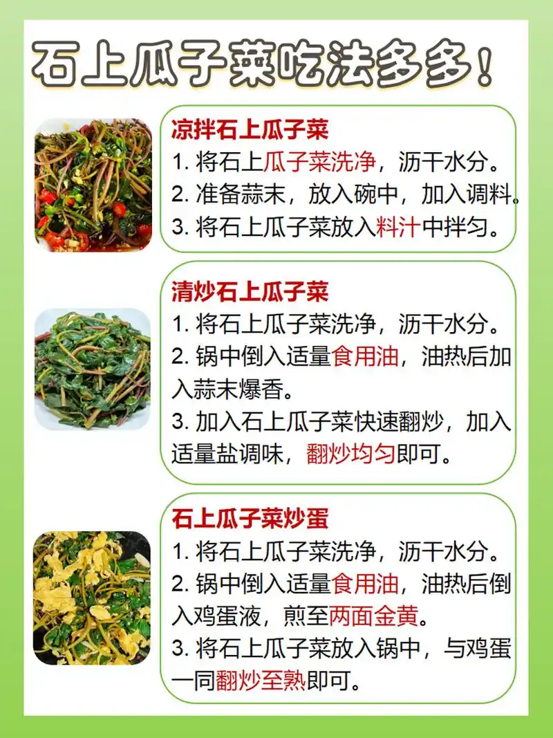 今日分享|石上瓜子菜的功效和作用是什么?