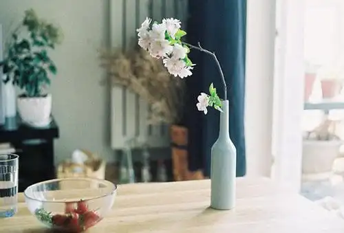 淡雅有品位安静惬意唯美图00