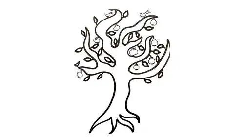 石榴树花期怎么管理