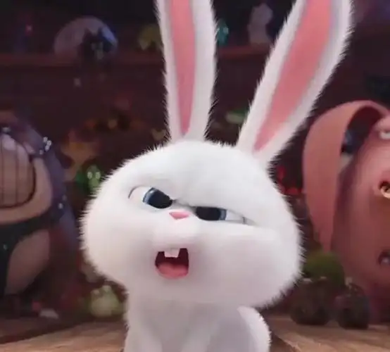 兔子头像暗示什么治愈系小兔子微信头像