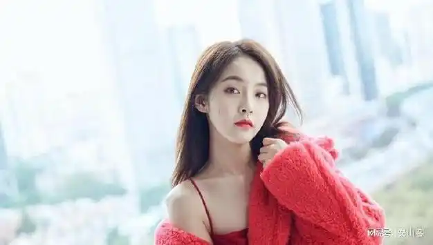 张佳宁回一次家乡,因服饰引出的"国际笑话","央妈"出手力挺|韩国|宋轶