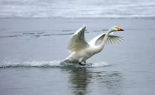 (手机延时摄影)   往期阅读    2018影散记  【风光】共和国,我为你