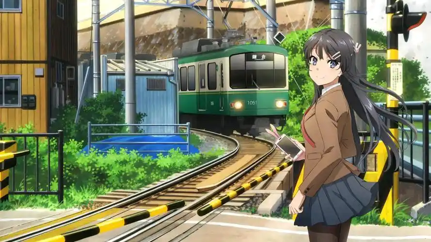 分享三张青猪里麻衣学姐的高清壁纸(要的私信)