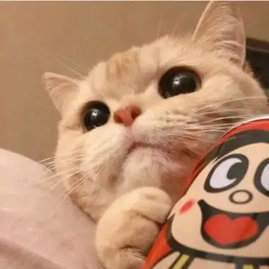 萌系头像动物 动物头像图片大全 -【爱个性】