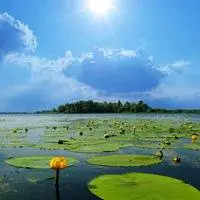 风景照片大全微信头像点击鼠标右键下载