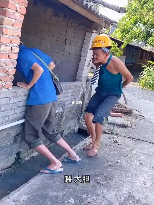 村里养猪暴发户_搞笑_搞笑的日常_搞笑_小剧场