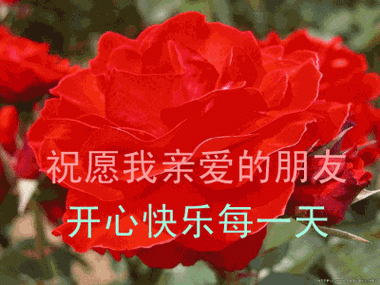 动画gif动态gif祝愿我亲爱的朋友gif快乐每一天gif