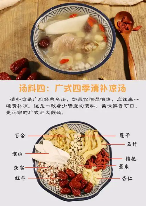 严选好物12款广式煲汤材料鸡汤炖汤料包食材养生清补凉膳1人食用份量