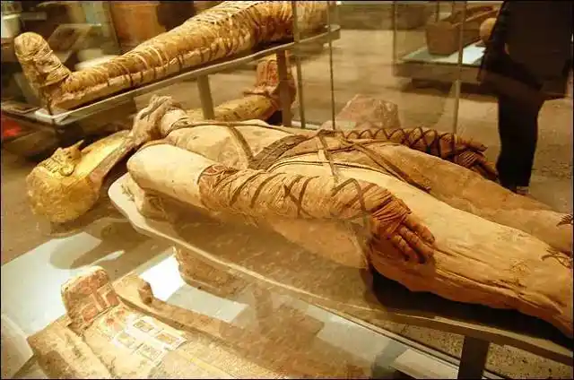 揭秘|木乃伊法老之谜,他们死后都经历了什么?