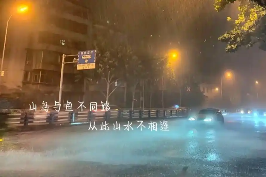 错过也成了人间常态