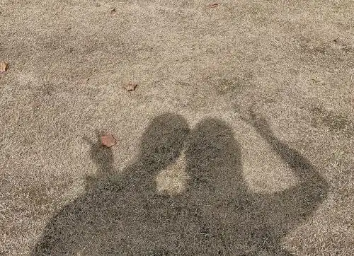 求一张情侣在地上的影子的照片