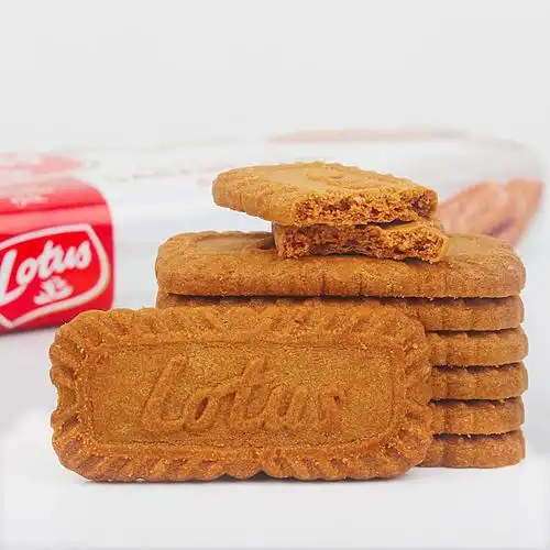 比利时原装进口零食品 lotus和情焦糖饼干/咖啡伴侣 250g休闲小吃