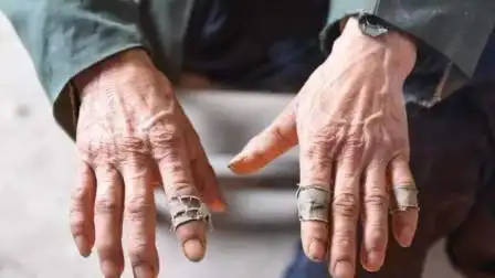 65岁花甲老人靠勤劳双手,遵循党的政策,走上"甜蜜"脱贫路