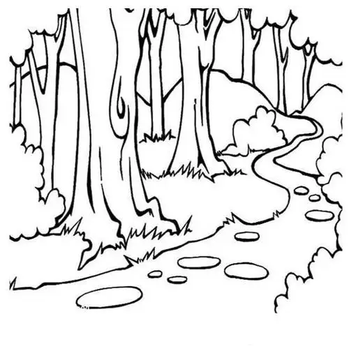 树林,茂密的丛林是里面有许许多多的树,原始森林里的大树藤条相互缠绕