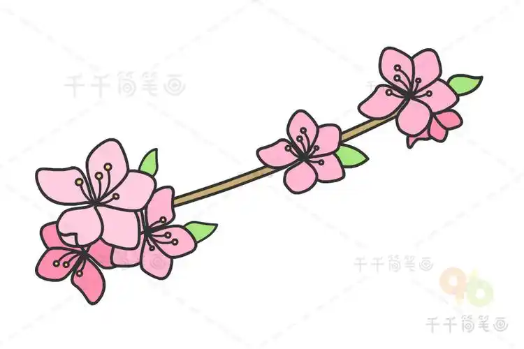 桃花简笔画画法,桃花简笔画图片,桃花简笔画教程,桃花简笔画素材