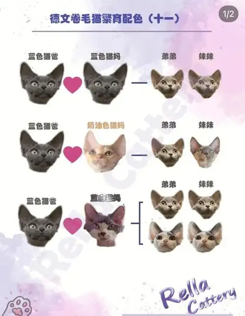 配色新图,繁育人可了解!