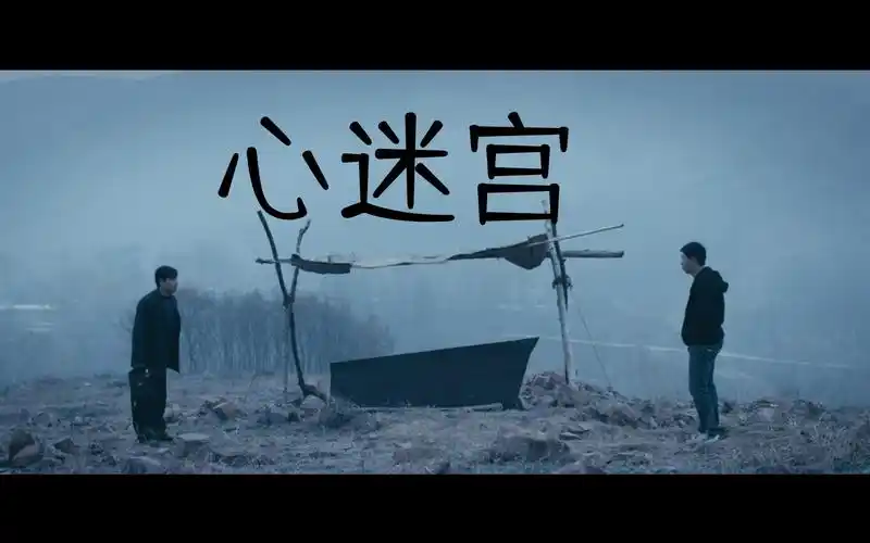 电影解说心迷宫国产悬疑高分佳作丽琴的完美杀夫计划