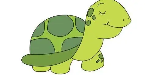 带颜色海龟简笔画怎么画可爱彩色海龟简笔画图片大全