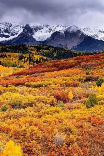 美丽的秋景,森林,山,云