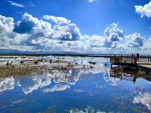 若尔盖花湖大草原
