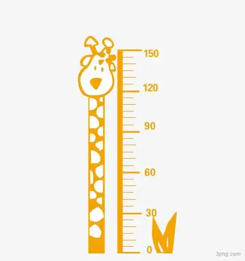 卡通儿童量身高尺png素材透明免抠图片-卡通手绘