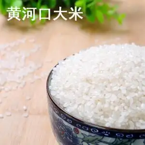 山东黄河大米农家黄河口大米5斤装包邮不抛光现磨无添加