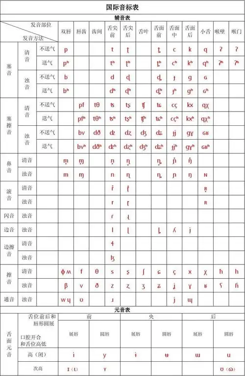 国际音标辅音元音表