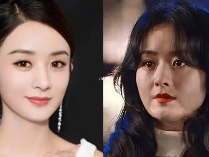 如今赵丽颖判若两人从昔日圆脸变成大饼脸