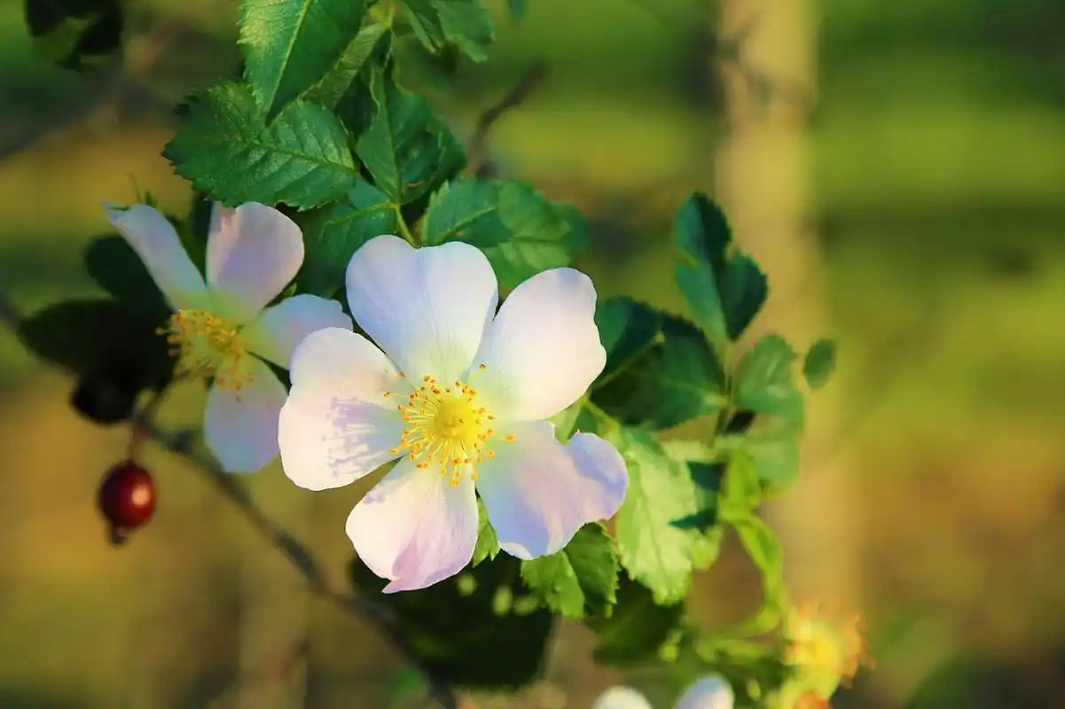 "  "远离男人"  "连钱