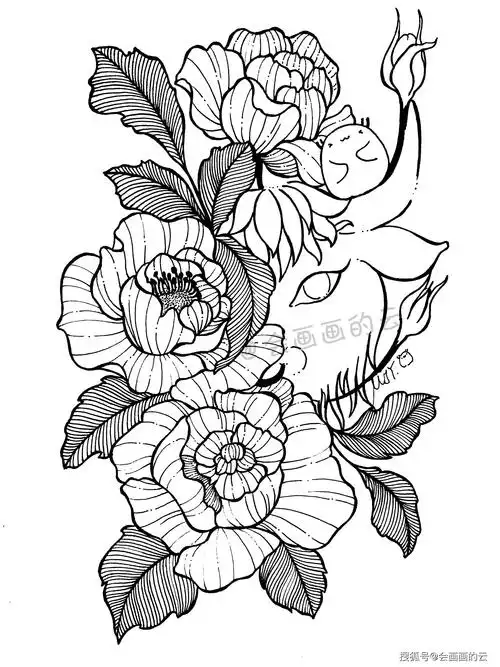 手把手教你画线描画,超详细步骤图讲解,适合新手学习的教程