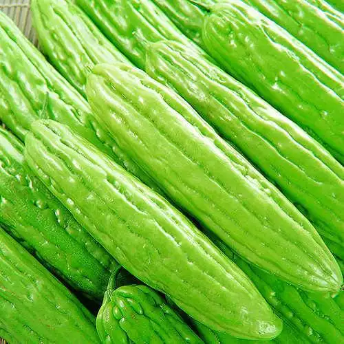 苦瓜500g 新鲜蔬菜 菜市场沃庄园 生鲜超市满88顺丰包邮江浙沪