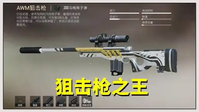 和平精英:四大枪械内部排名,awm领跑栓狙,步枪之王有争议