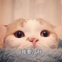萌宠gif喵星人gif我要冷静gif淡定gif呆萌gif可爱gif