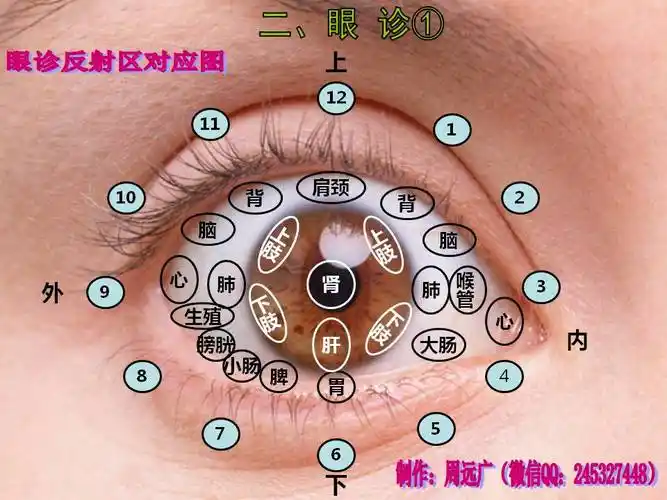 图说甲诊和眼诊(作者:周远广)