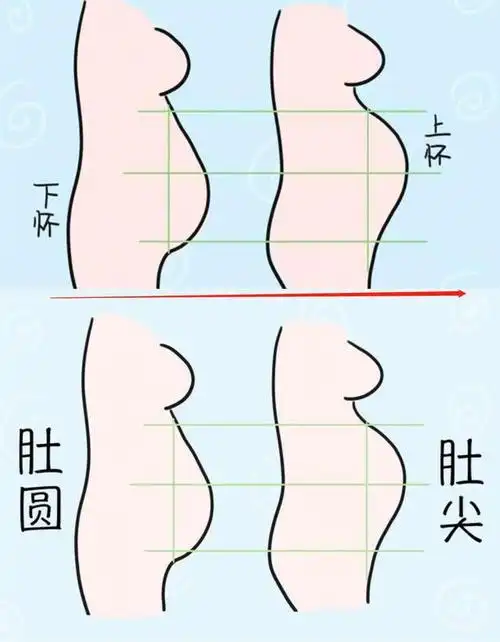 上怀男下怀女尖男圆女孕肚位置形状决定生男生女准吗