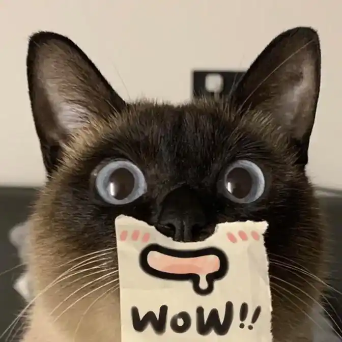 这还拿不下你?#暹罗猫 这么可爱的小煤球表情包头像只有可爱的 - 抖音